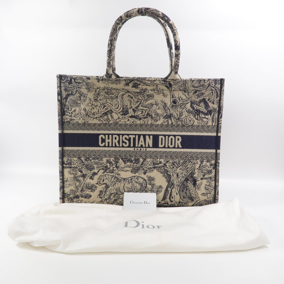 Dior Book Tote · Oblique Canvas