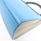 Celine Trapeze · Calfskin · Two-Way