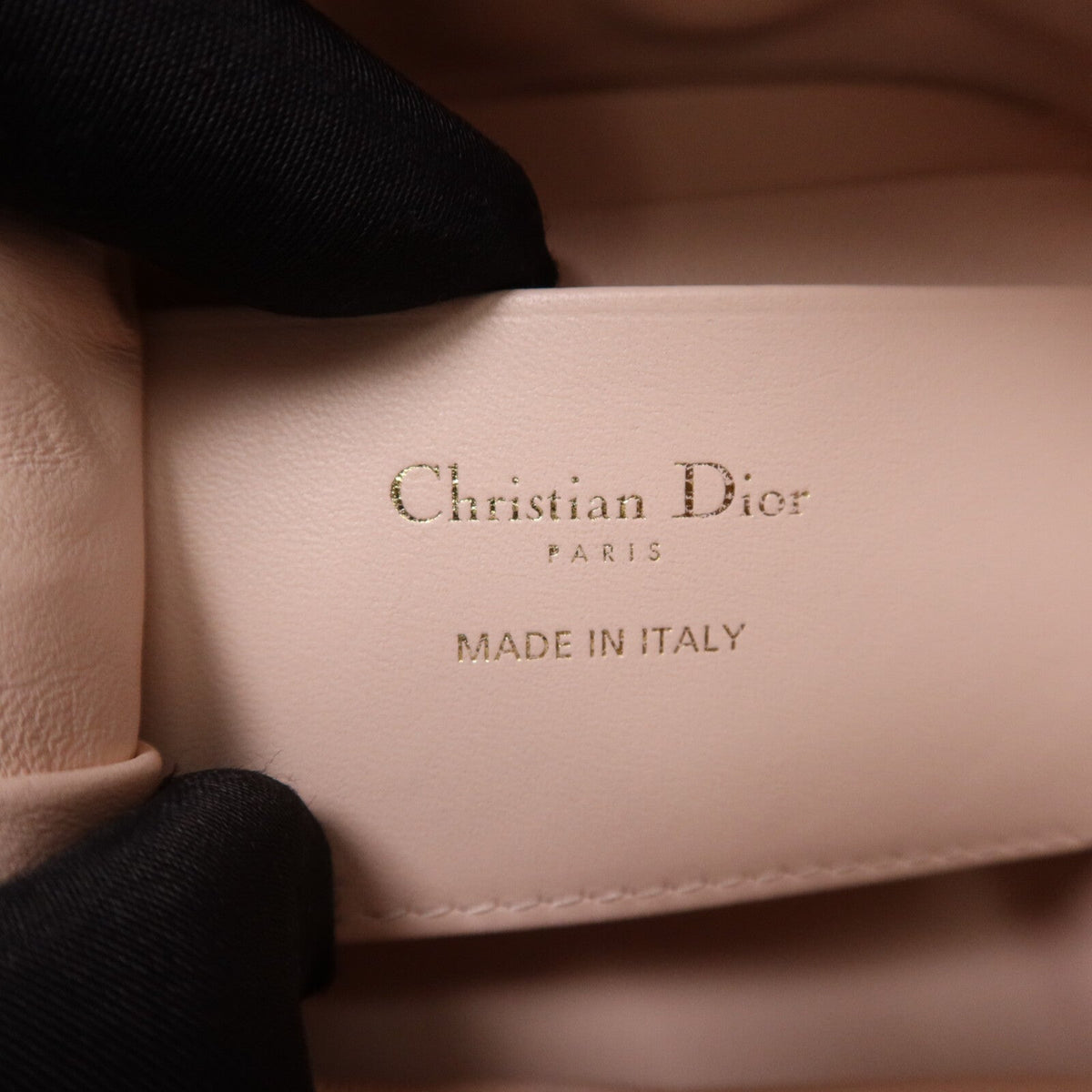 Dior Miss Caro · Lambskin