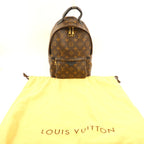 Louis Vuitton Palm Springs · Monogram · PM