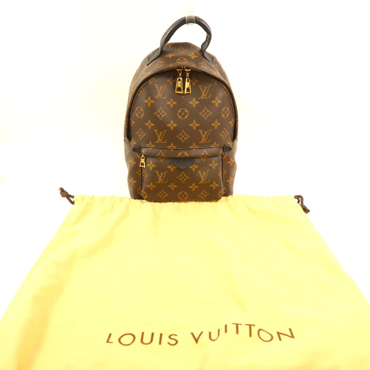 Louis Vuitton Palm Springs · Monogram · PM