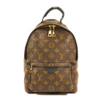 Louis Vuitton Palm Springs · Monogram · PM