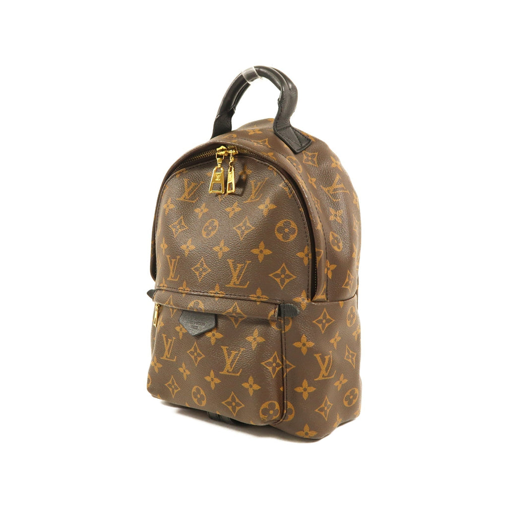 Louis Vuitton Palm Springs · Monogram · PM