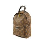 Louis Vuitton Palm Springs · Monogram · PM