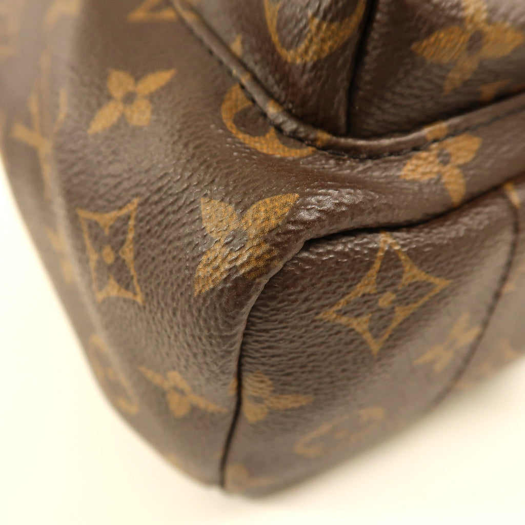 Louis Vuitton Palm Springs · Monogram · PM