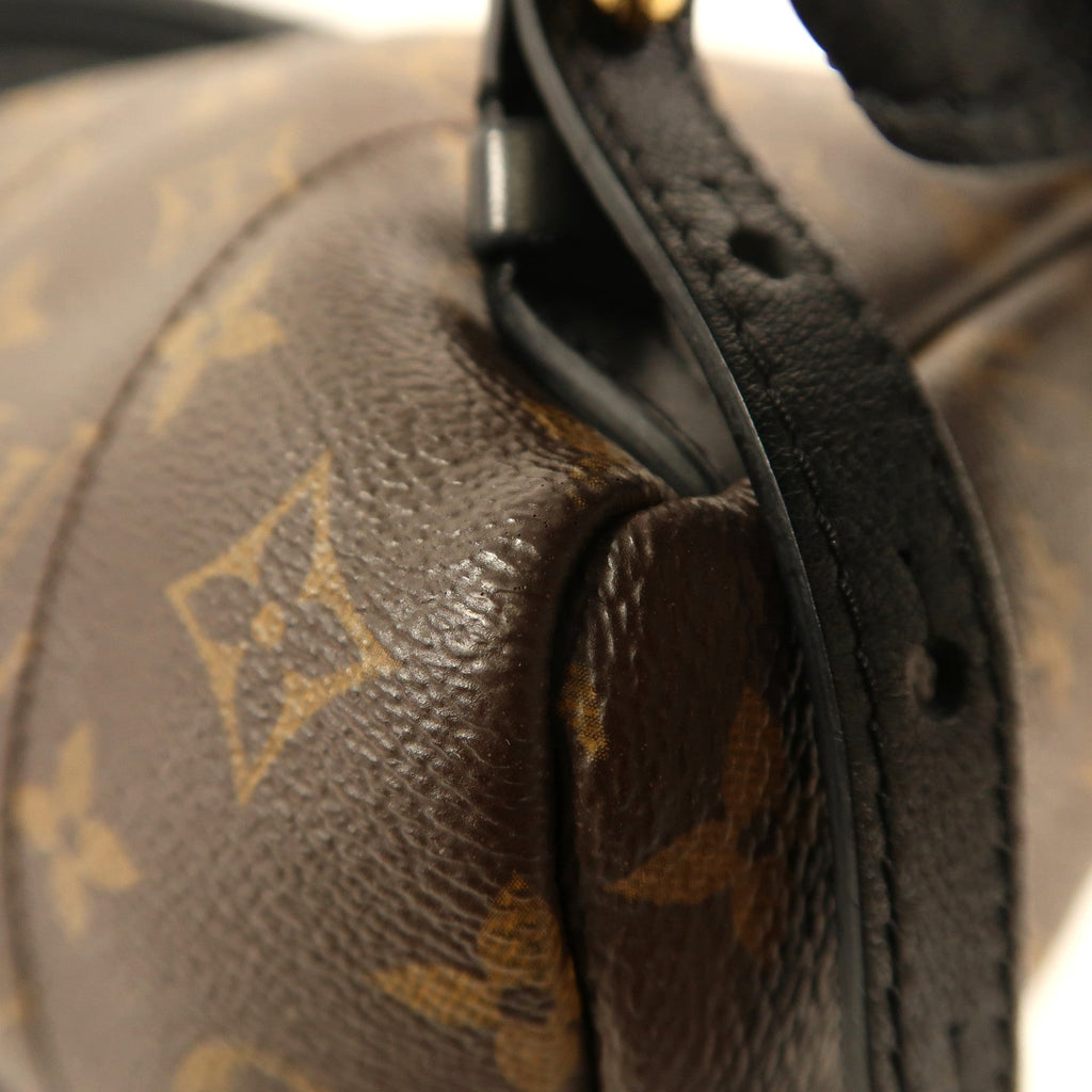 Louis Vuitton Palm Springs · Monogram · PM