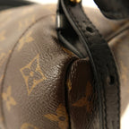 Louis Vuitton Palm Springs · Monogram · PM