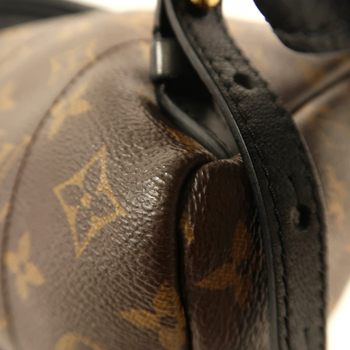 Louis Vuitton Palm Springs · Monogram · PM