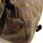 Louis Vuitton Palm Springs · Monogram · PM