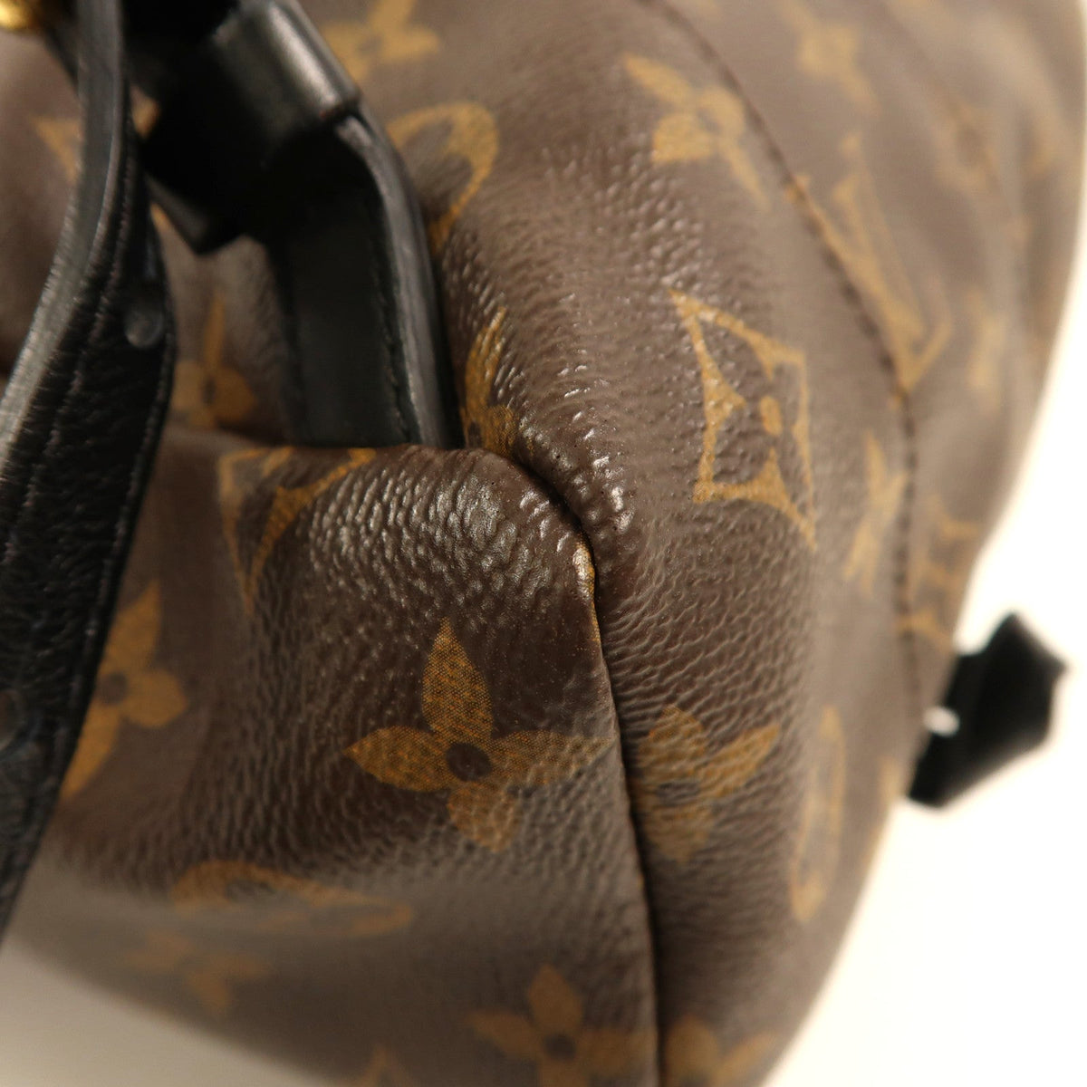 Louis Vuitton Palm Springs · Monogram · PM