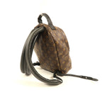 Louis Vuitton Palm Springs · Monogram · PM
