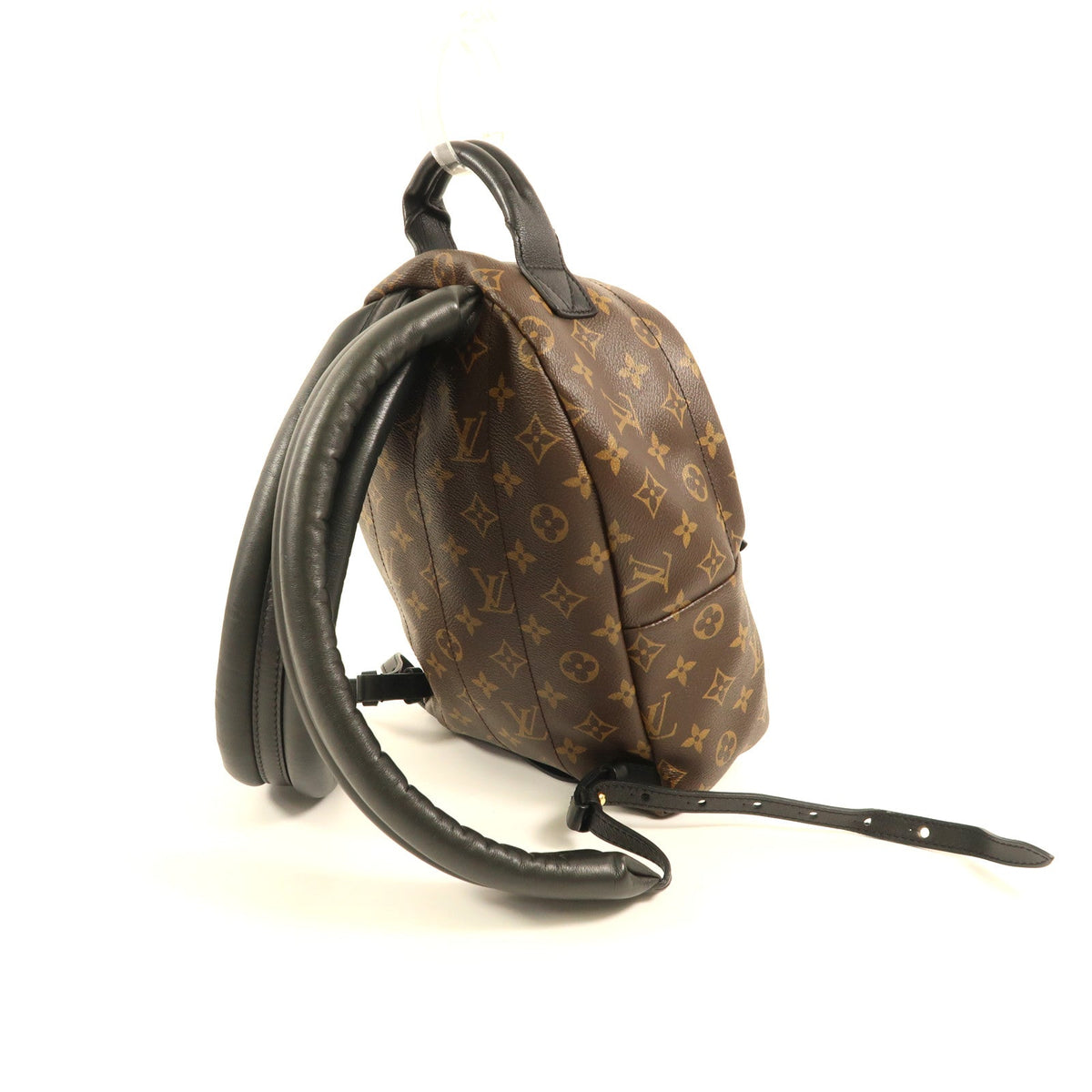 Louis Vuitton Palm Springs · Monogram · PM