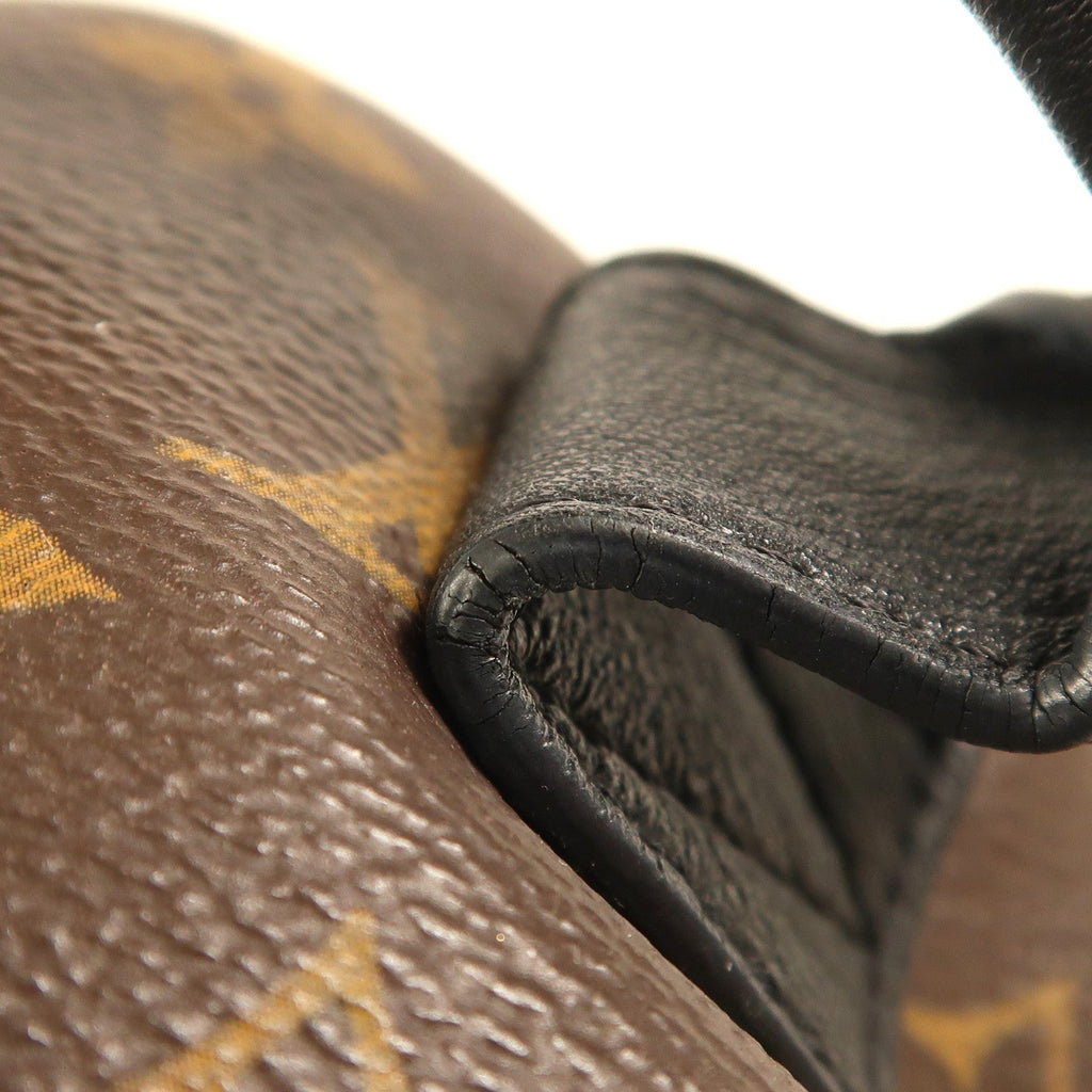 Louis Vuitton Palm Springs · Monogram · PM