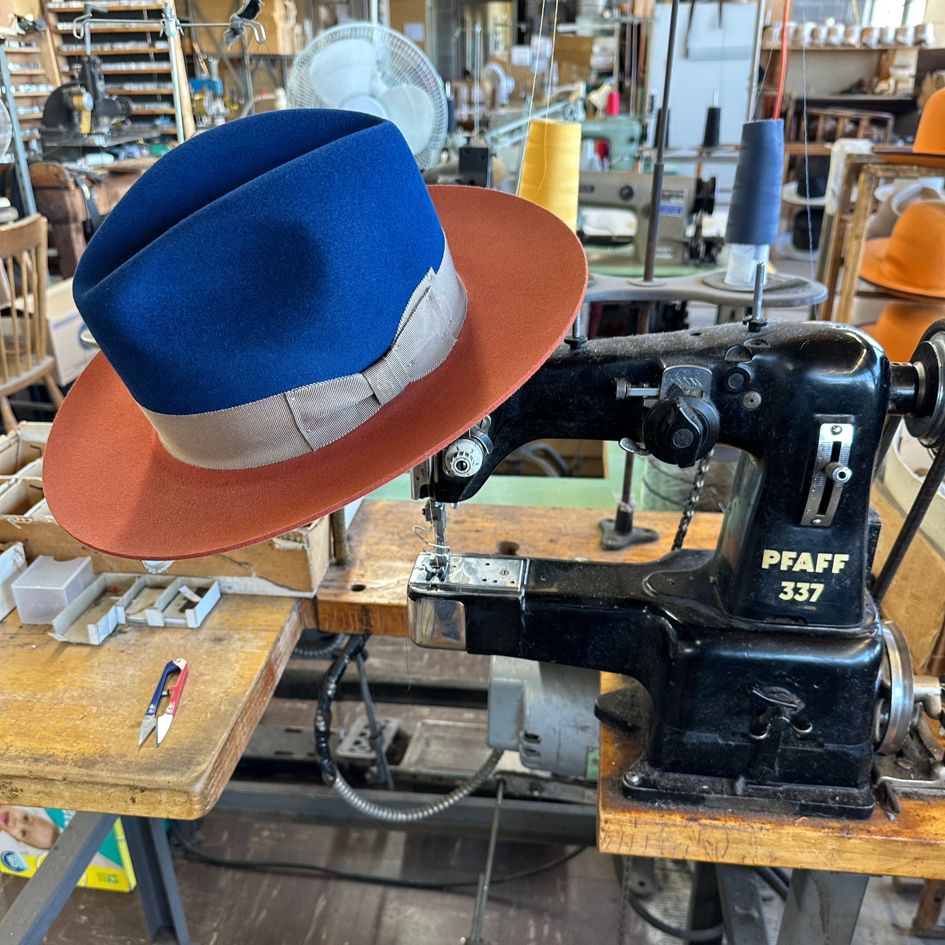 El capo - Two Tone ( Sapphire / Cinnamon)