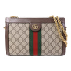 Gucci Ophidia GG · Canvas Chain Bag