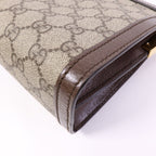 Gucci Ophidia GG · Canvas Chain Bag