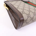 Gucci Ophidia GG · Canvas Chain Bag