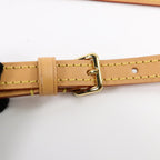 Louis Vuitton Nano Noé · Monogram