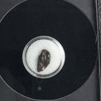 Genuine Nantan Meteorite in Glass Display Box