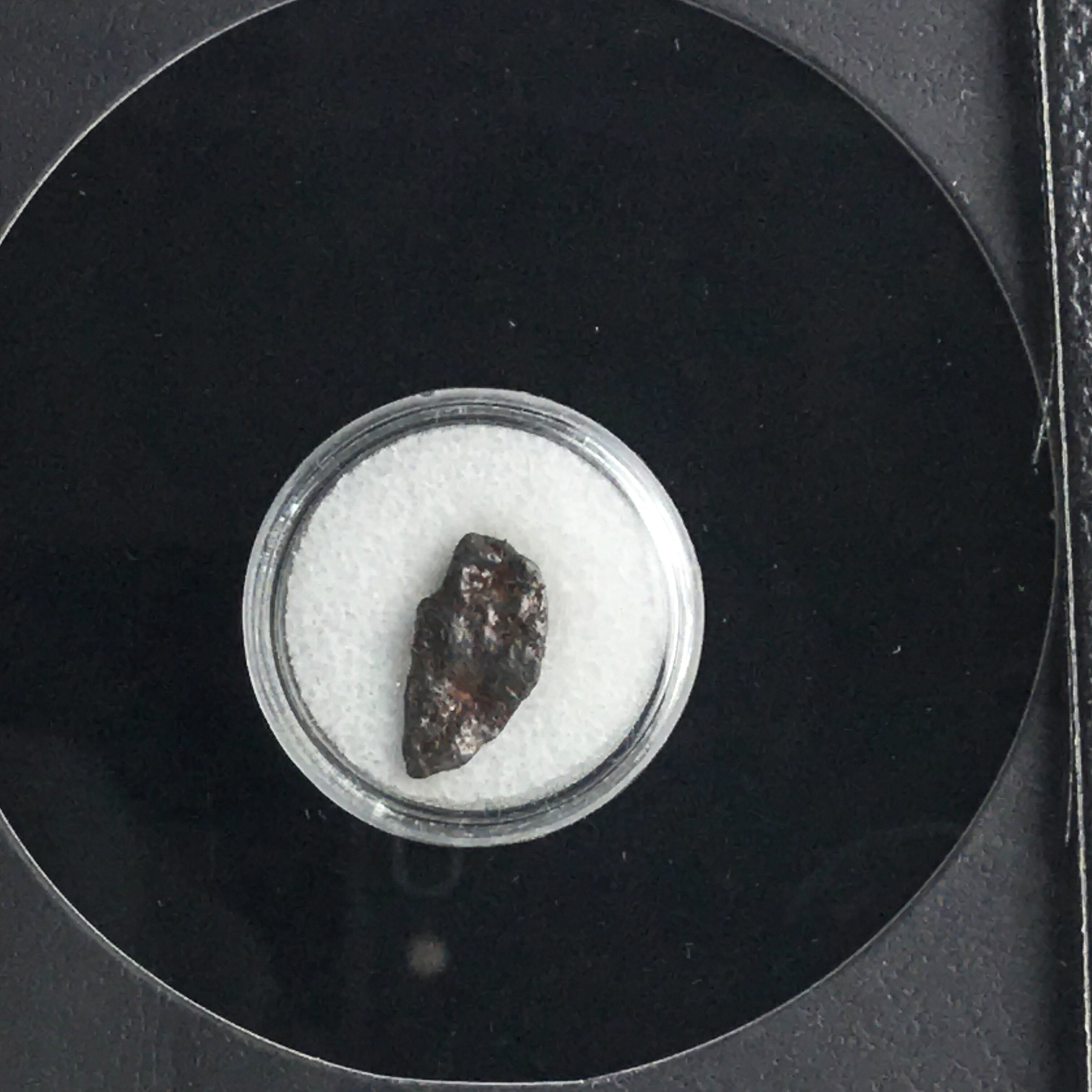 Genuine Nantan Meteorite in Glass Display Box