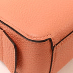 Delvaux Cool Box Nano · Calfskin