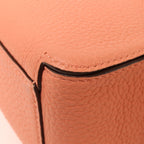 Delvaux Cool Box Nano · Calfskin