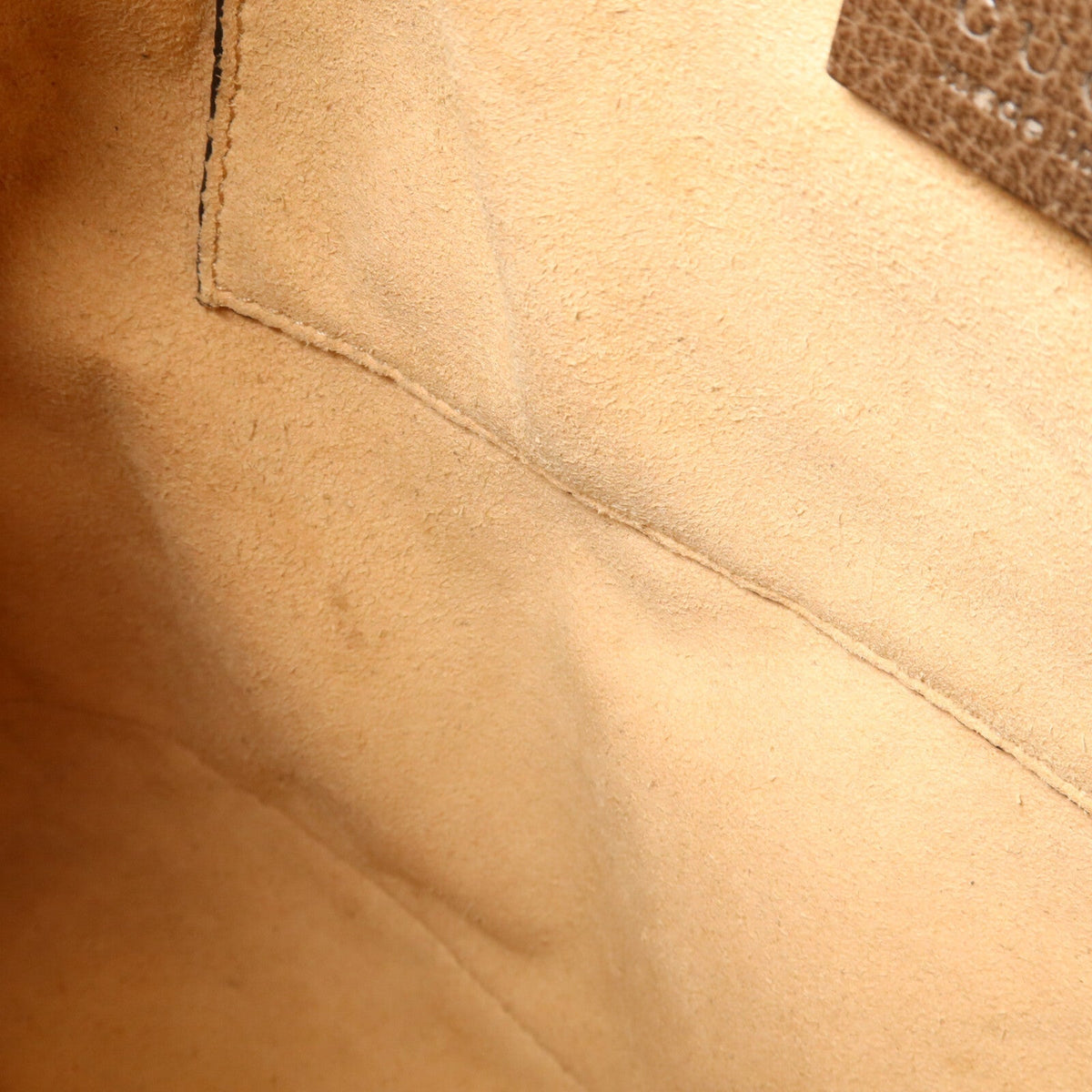 Gucci Ophidia · Bucket Bag · GG Canvas