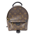 Louis Vuitton Palm Springs · Monogram · Mini
