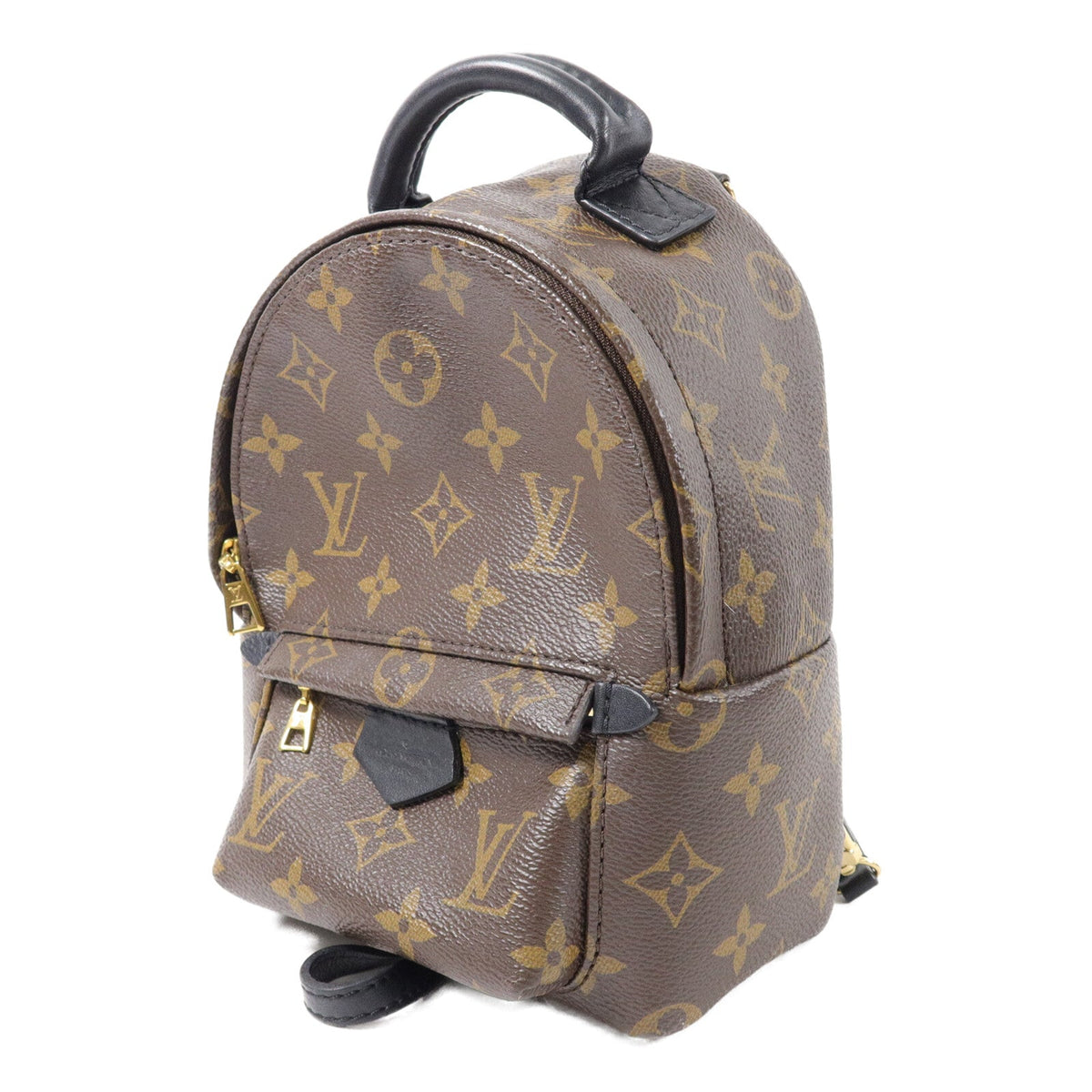 Louis Vuitton Palm Springs · Monogram · Mini