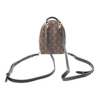 Louis Vuitton Palm Springs · Monogram · Mini