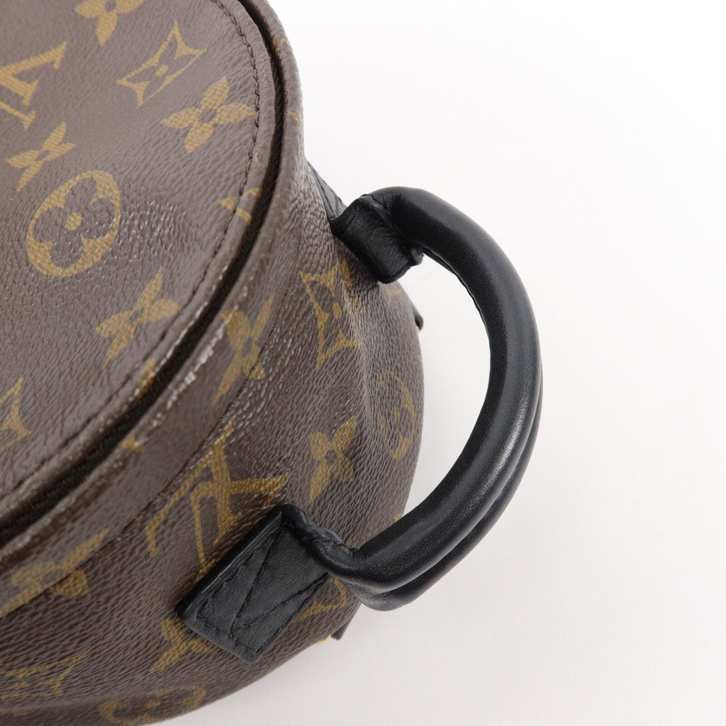 Louis Vuitton Palm Springs · Monogram · Mini