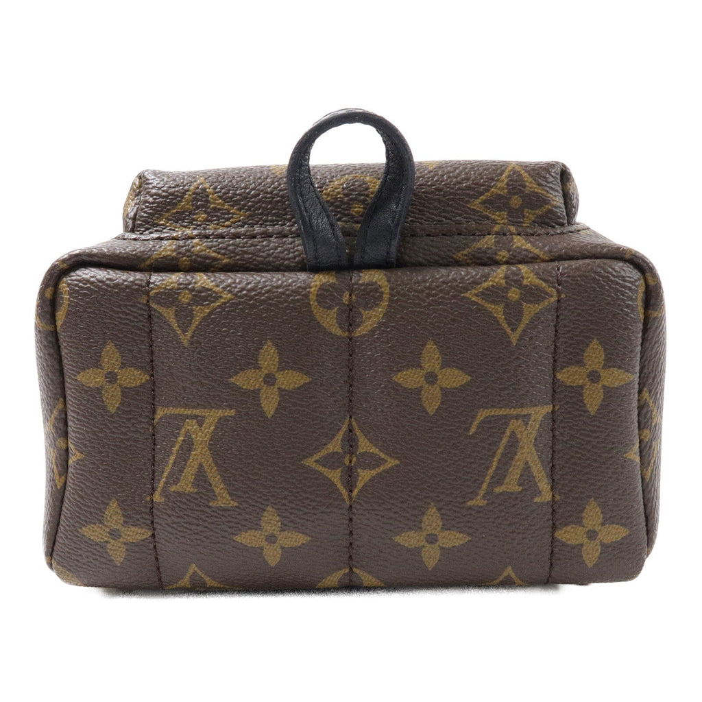Louis Vuitton Palm Springs · Monogram · Mini