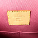 Louis Vuitton Cluny BB · Monogram