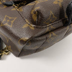 Louis Vuitton Palm Springs · Monogram · Mini