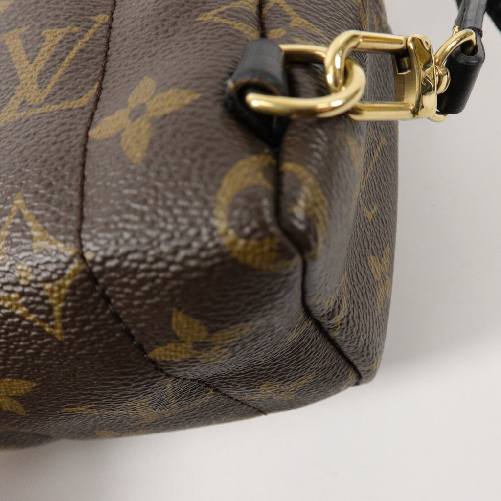 Louis Vuitton Palm Springs · Monogram · Mini