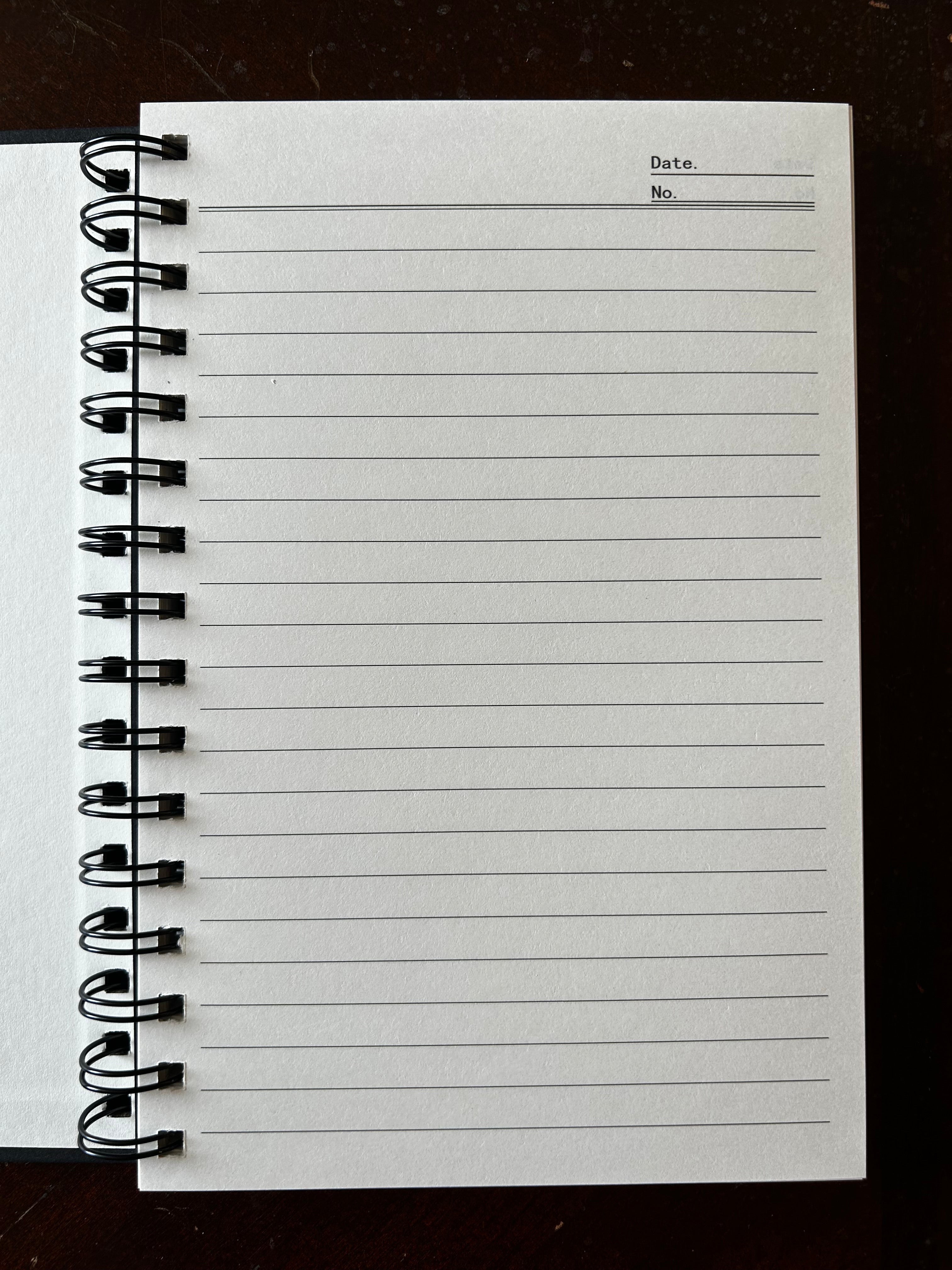 My Plan to Steal the Moon Notebook