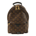 Louis Vuitton Palm Springs PM · Monogram