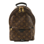 Louis Vuitton Palm Springs PM · Monogram