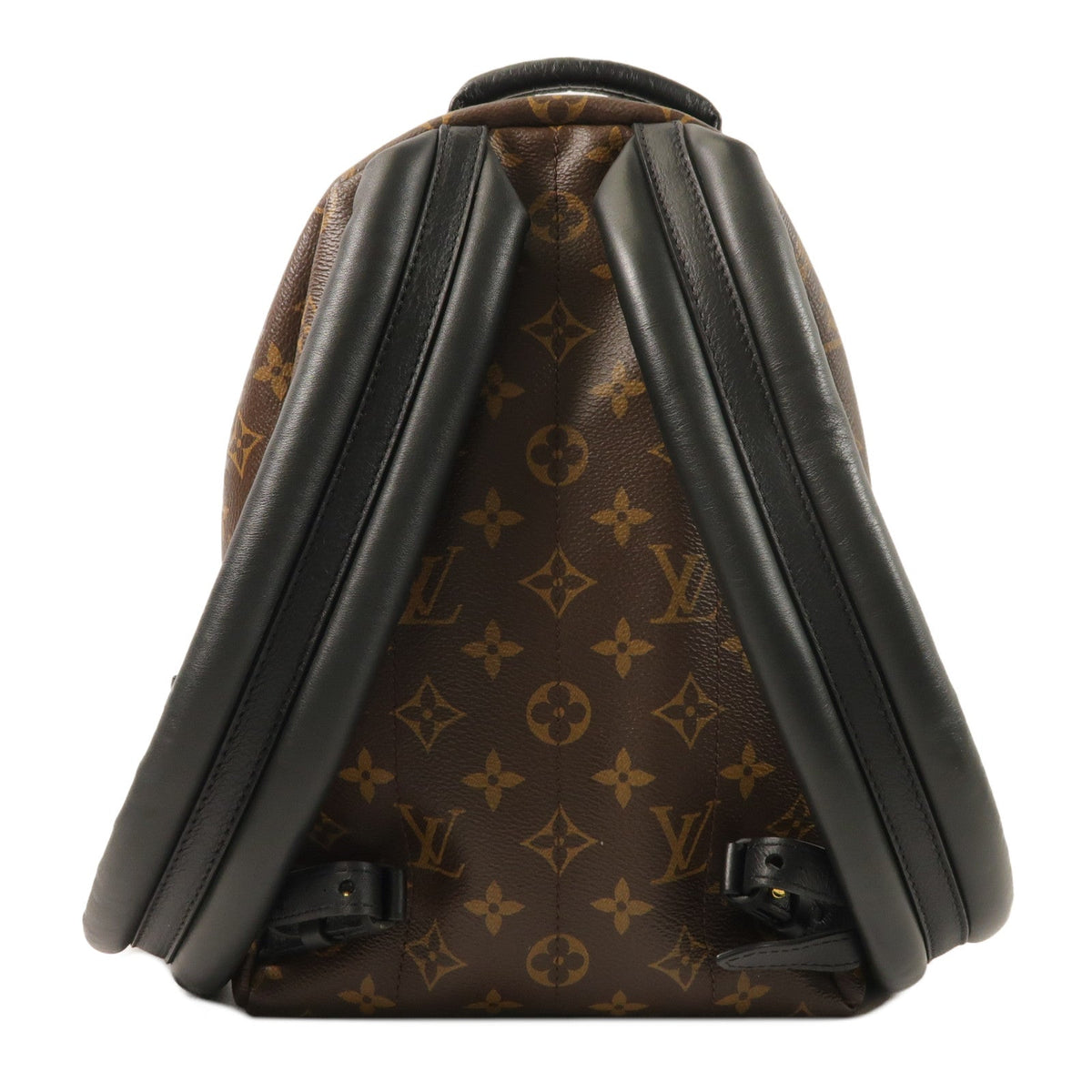 Louis Vuitton Palm Springs PM · Monogram