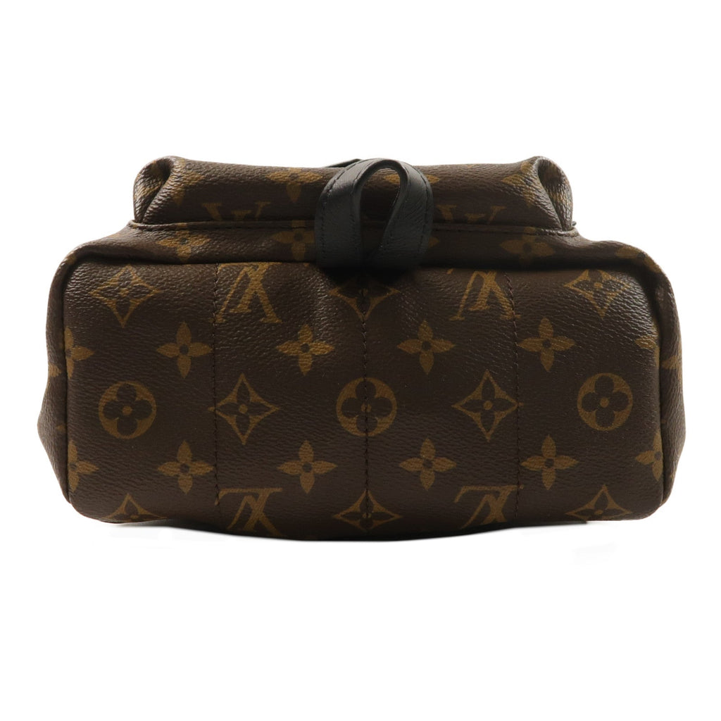 Louis Vuitton Palm Springs PM · Monogram