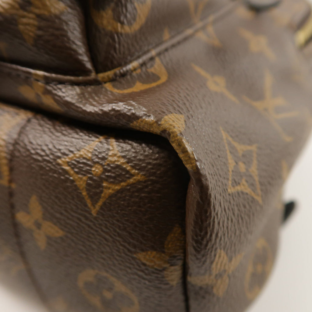 Louis Vuitton Palm Springs PM · Monogram