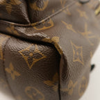 Louis Vuitton Palm Springs PM · Monogram