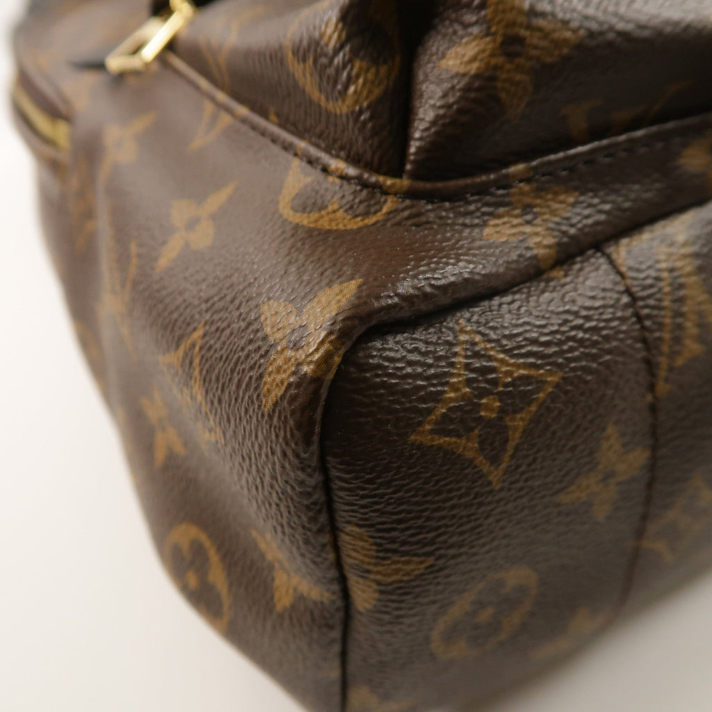 Louis Vuitton Palm Springs PM · Monogram