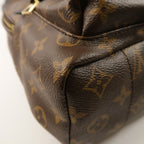 Louis Vuitton Palm Springs PM · Monogram