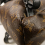 Louis Vuitton Palm Springs PM · Monogram