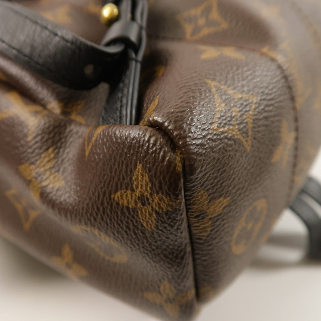 Louis Vuitton Palm Springs PM · Monogram