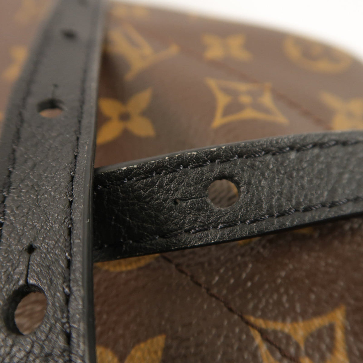Louis Vuitton Palm Springs PM · Monogram