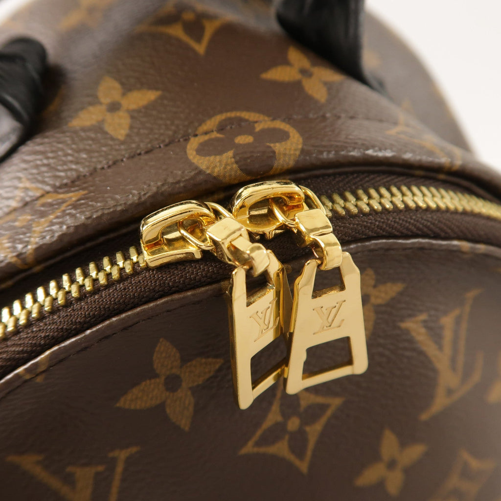 Louis Vuitton Palm Springs PM · Monogram