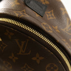 Louis Vuitton Palm Springs PM · Monogram