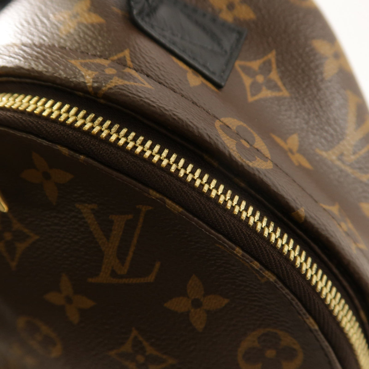 Louis Vuitton Palm Springs PM · Monogram